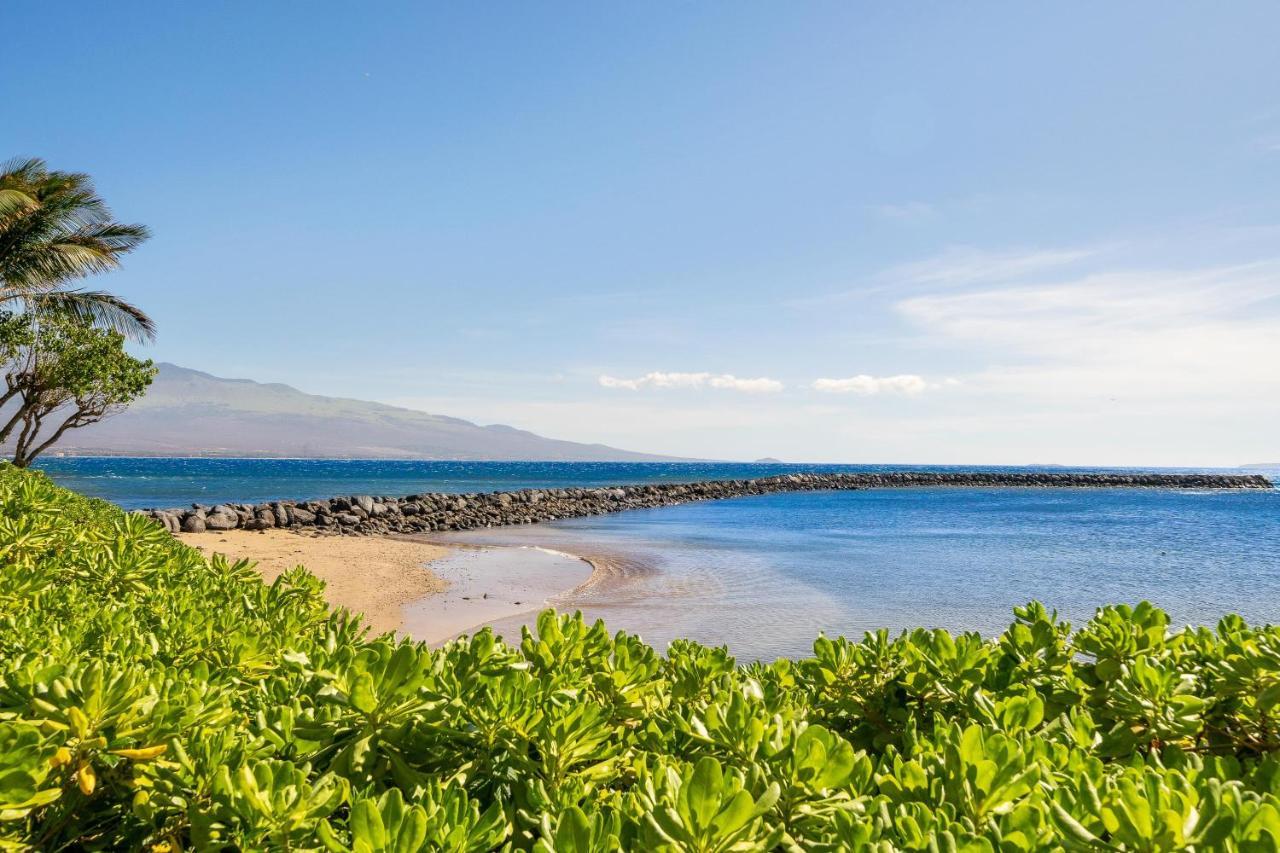 °MAALAEA YACHT MARINA #405 MAALAEA, HI (United States) | BOOKED